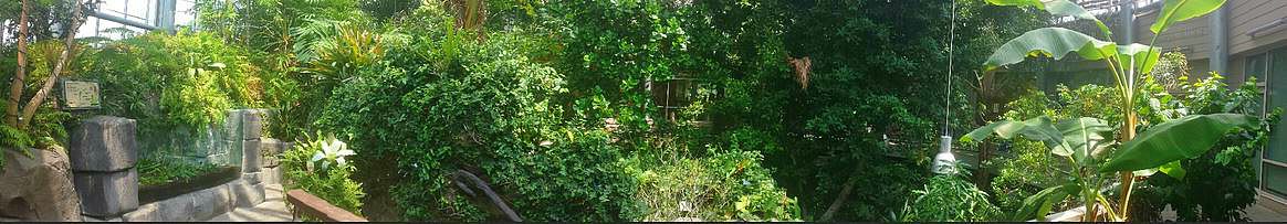 Jul. 2013 - Discovery Forest Panorama