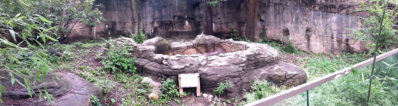 Jul. 2013 - Dragons! - Komodo Dragon  Outdoor Exhibit Panorama