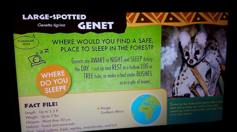 Jul. 2013 - Jungle Trails - New Genet Sign
