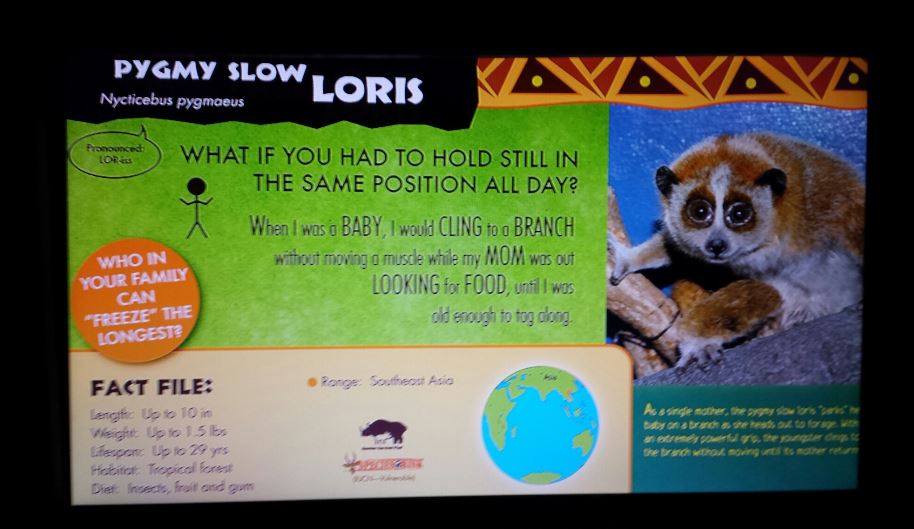 Jul. 2013 - Jungle Trails - New Loris Sign