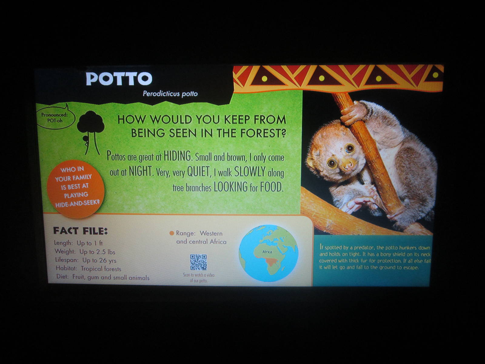 Jul. 2013 - Jungle Trails - New Potto Sign