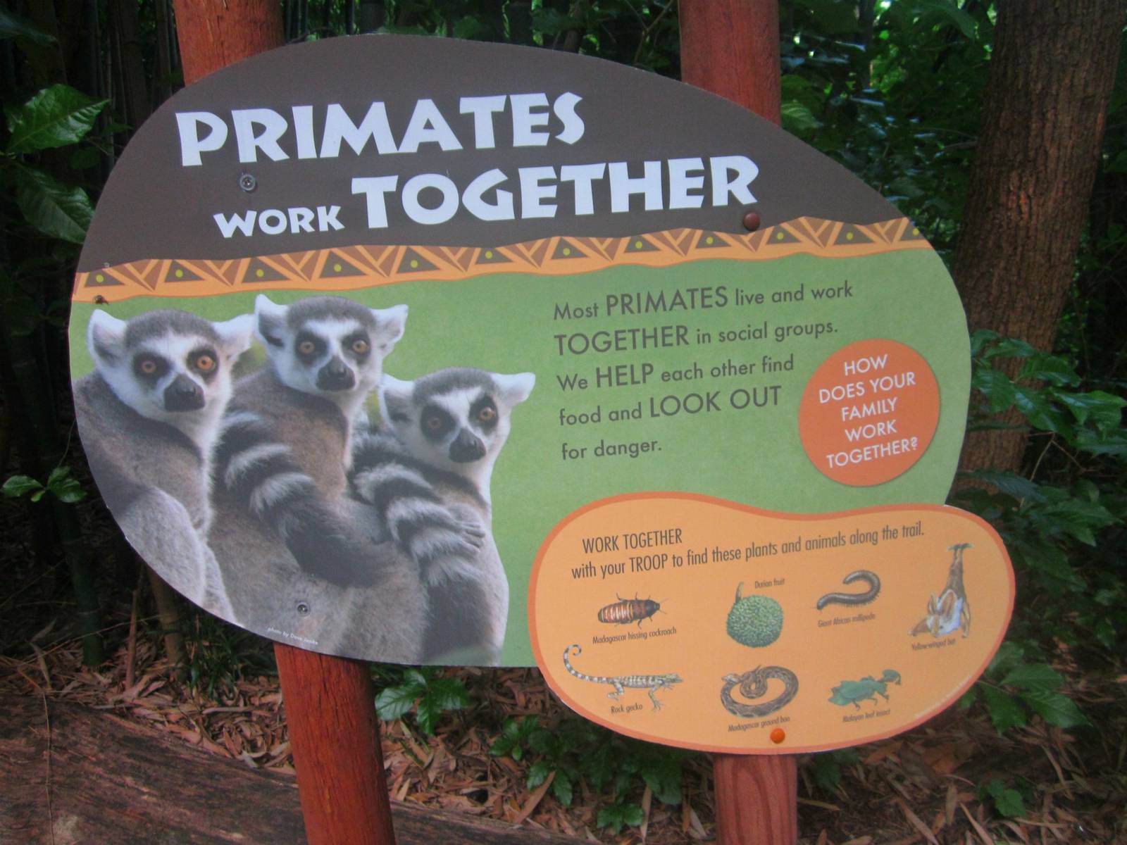 Jul. 2013 - New Jungle Trails Sign