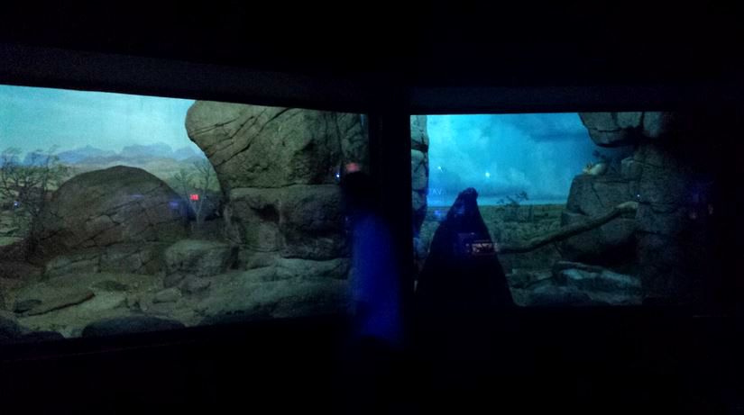 Jul. 2013 - Night Hunters - Fox Exhibits