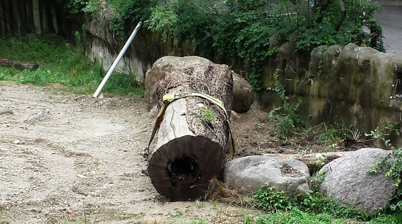 Jul. 2013 - Rhino Reserve - Black Rhinoceros Construction