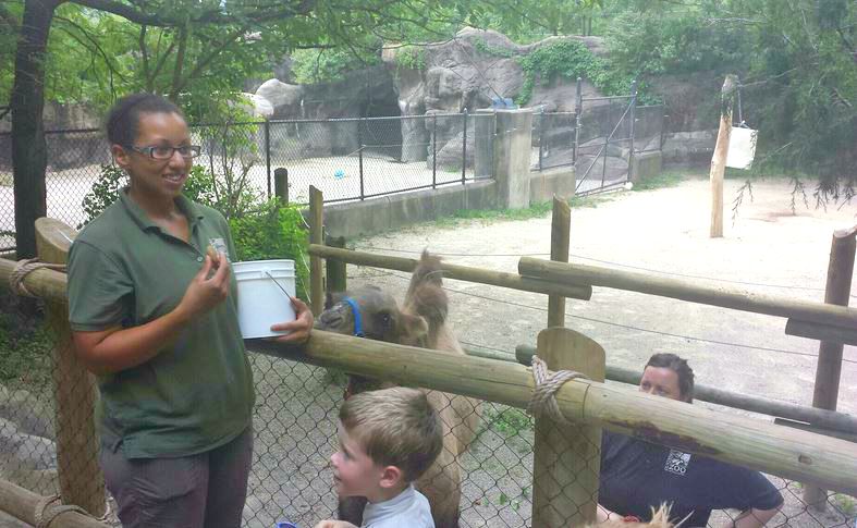 Jul. 2013 - Wildlife Canyon - Bactrian Camel Encounter