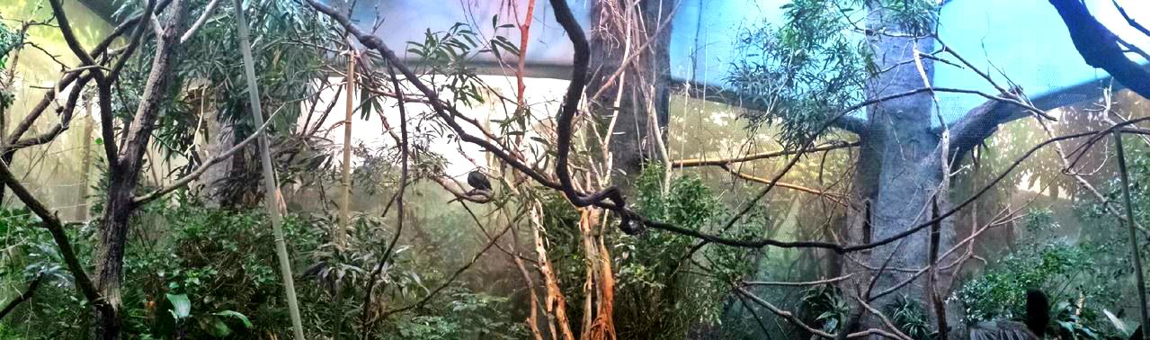 Jul. 2013 - Wings of the World - Australasia Panorama