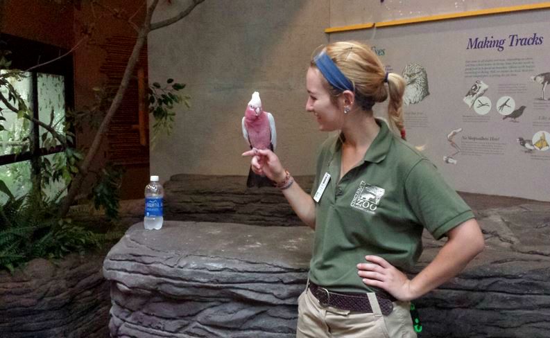 Jul. 2013 - Wings of the World - Gallah Encounter