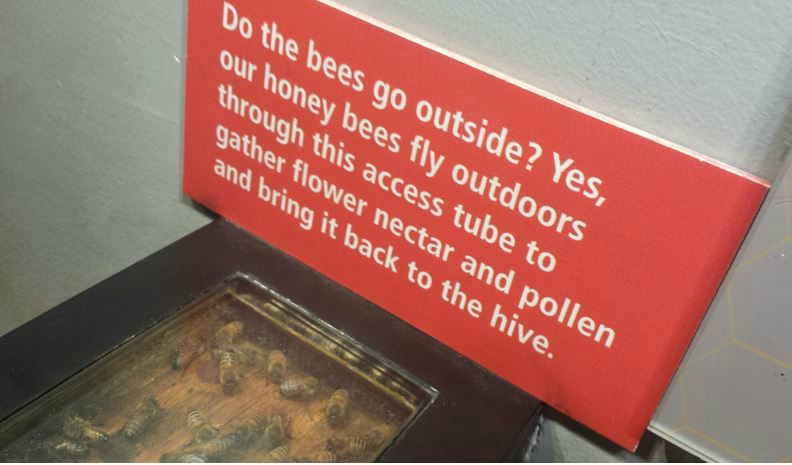 Jul. 2013 - World of the Insect - Honey Bee Sign