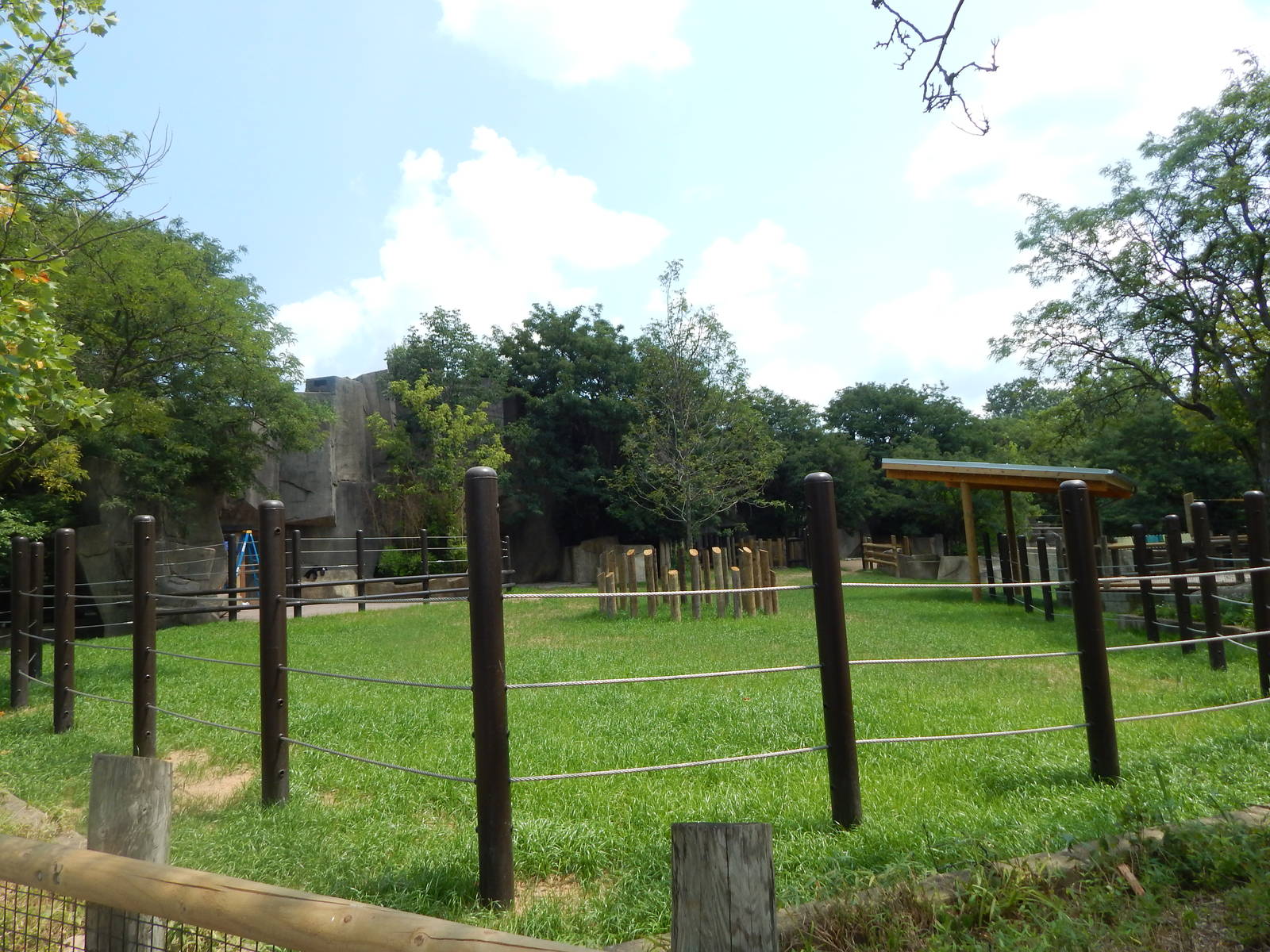 Jul. 2014 - Asia Quest - Pachyderms - Rhino Trek (Renovated)