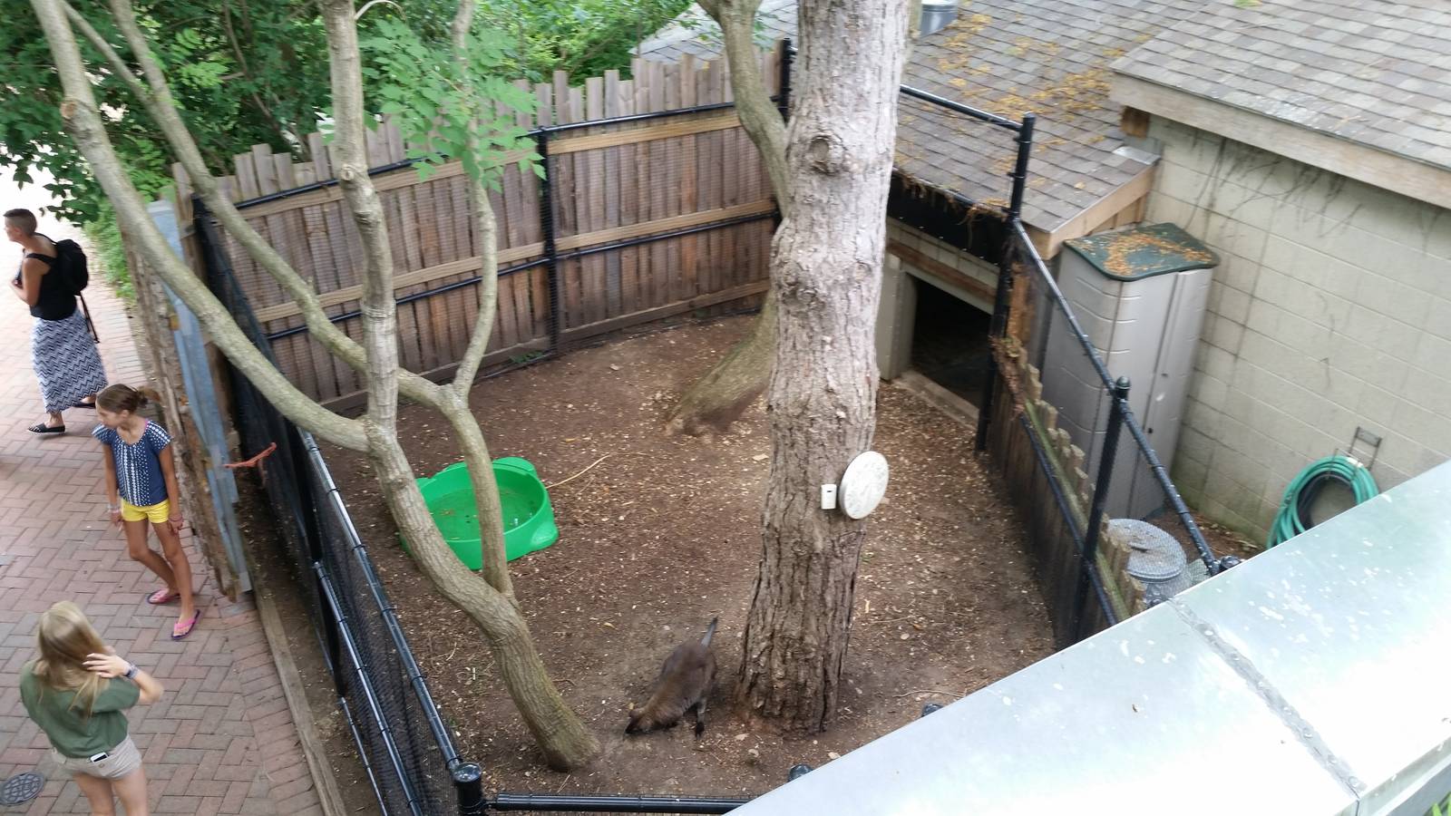 Jul. 2014 - Children's Zoo - Extended Exhibit (Taken From the Roof)
