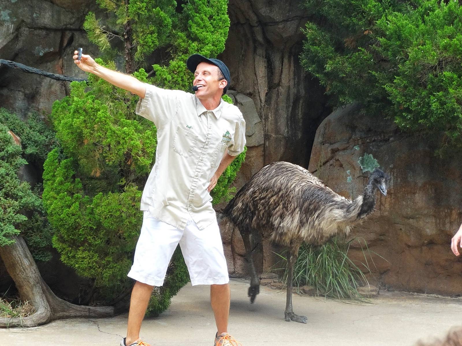 Jul. 2015 - Bob and the Giant Chicken