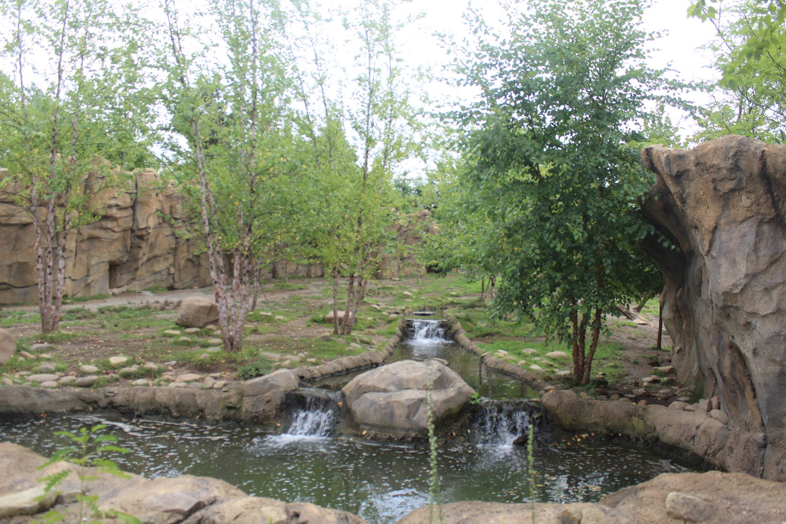 Jul. 2016 - Africa - African Painted Dog Exhibit