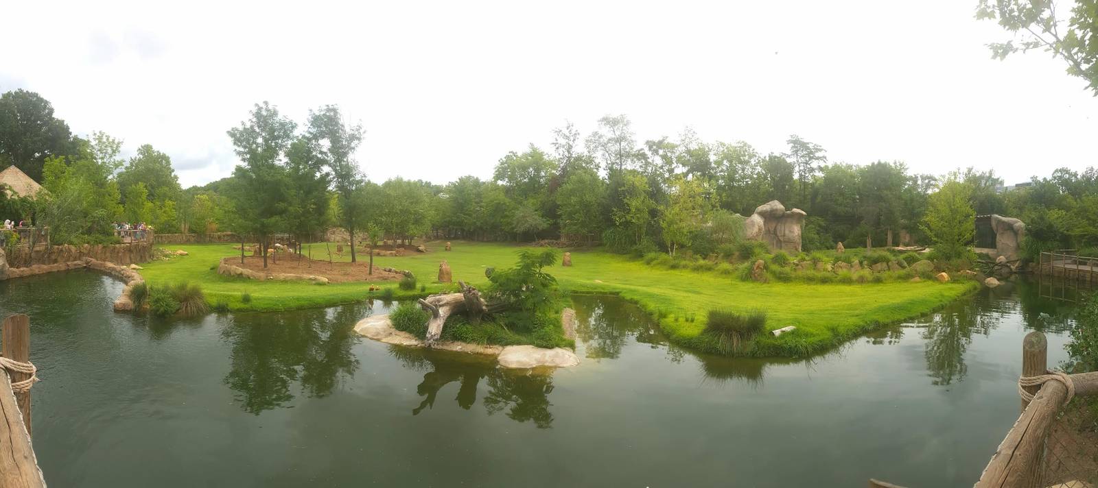 Jul. 2016 - Africa - One Acre Plains Exhibit (10 Species) + Lion Exhibit