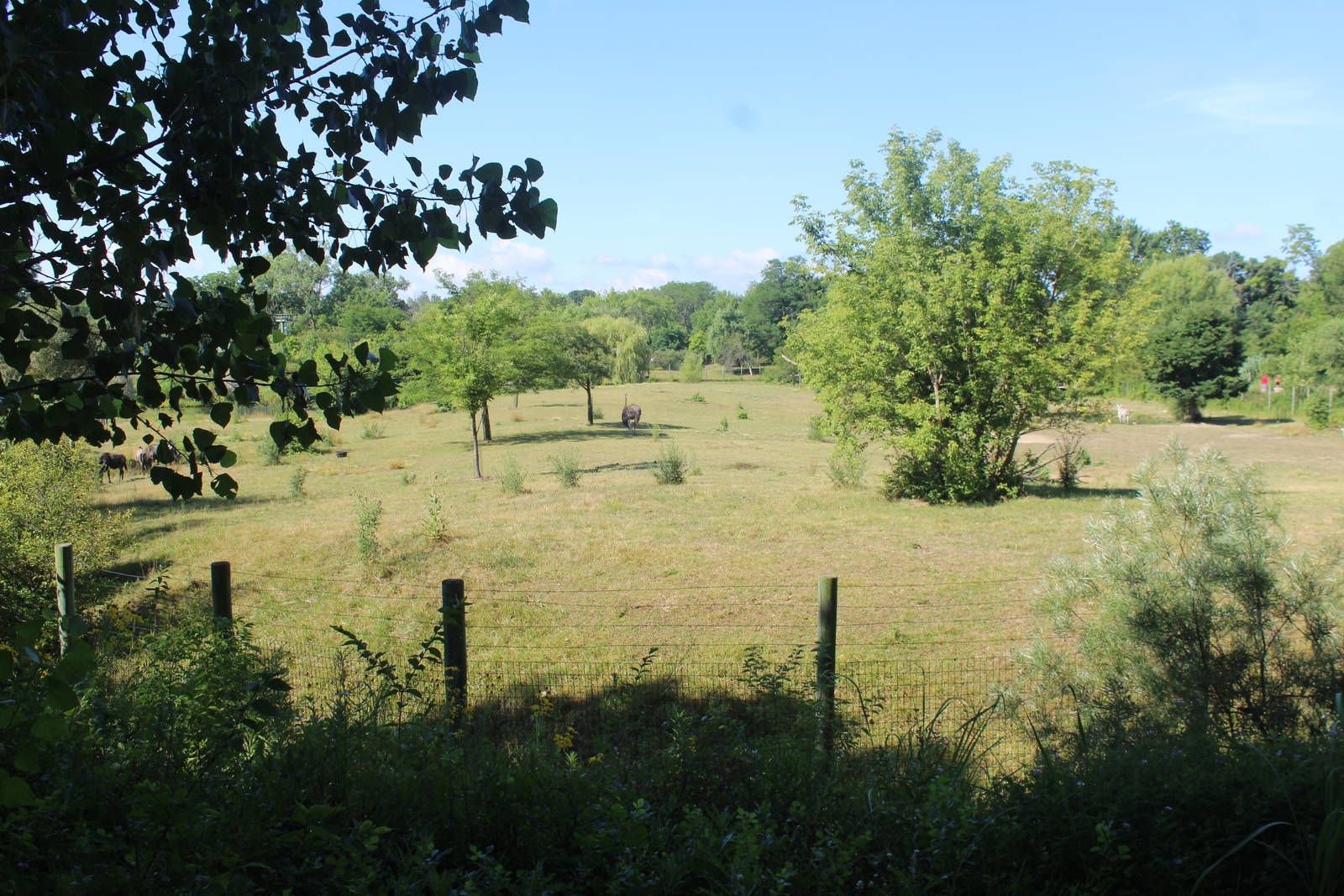 Jul. 2016 - African Journey - 3.8 Acre Savannah (5 Species)