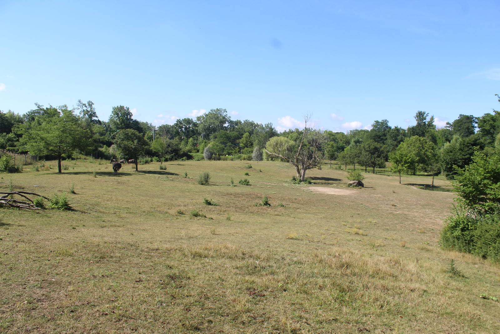 Jul. 2016 - African Journey - 3.8 Acre Savannah (5 Species)