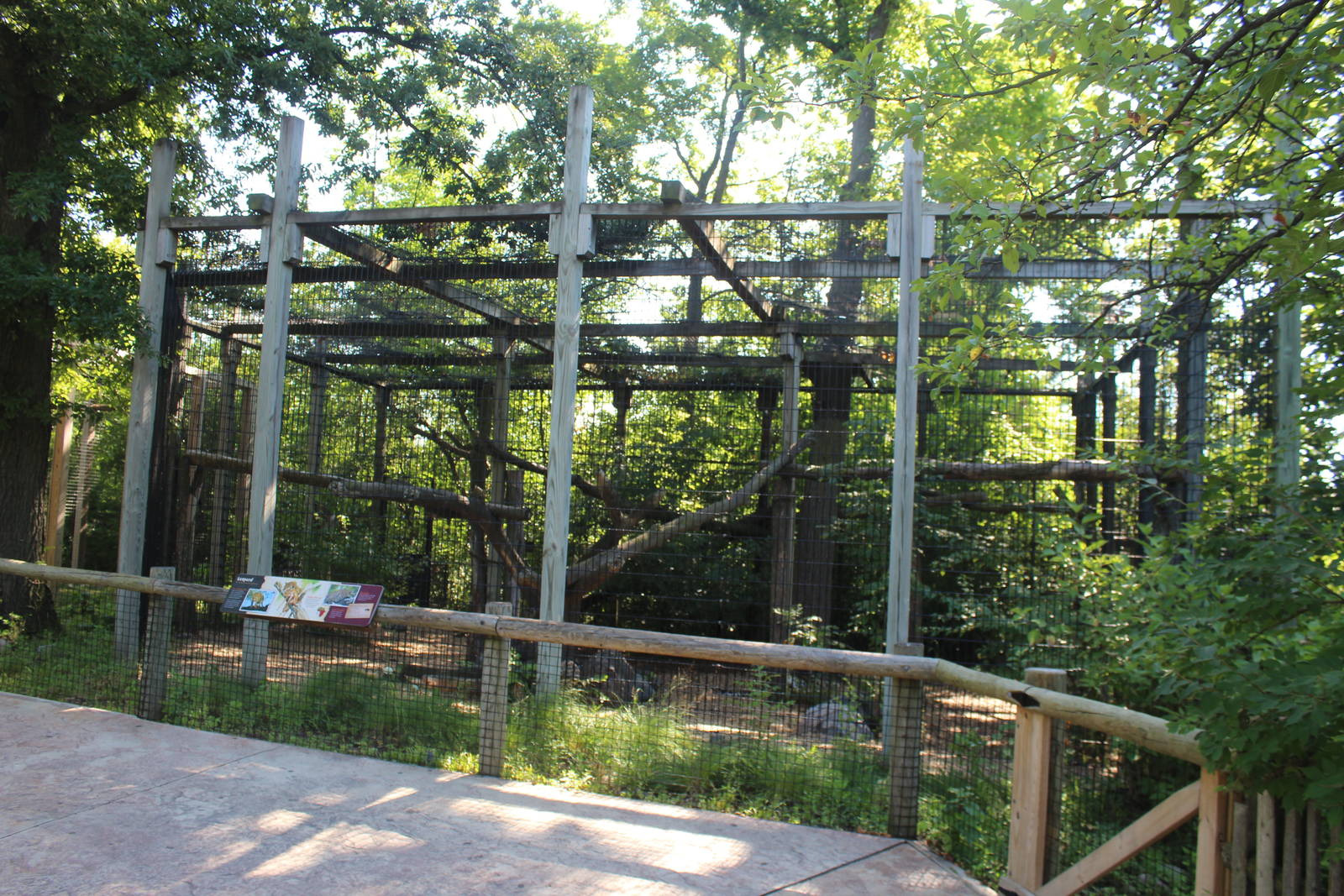 Jul. 2016 - African Journey - Amur Leopard Exhibit