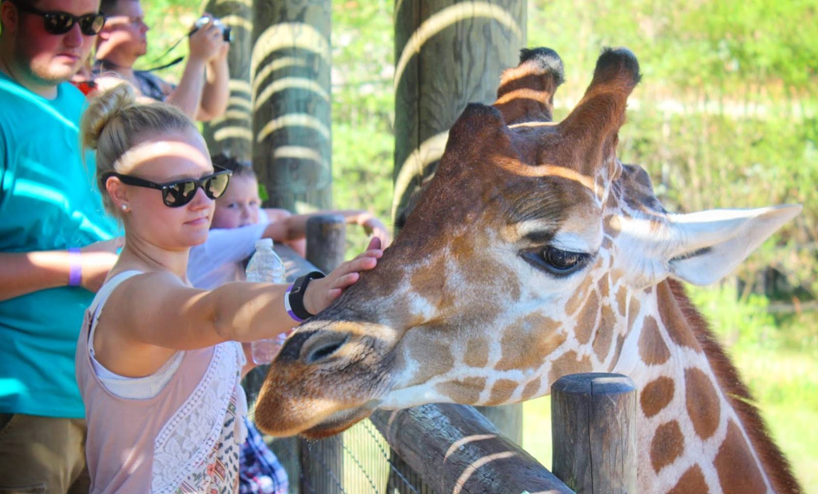 Jul. 2016 - African Journey - Giraffe Feeding - Breaking the Rules