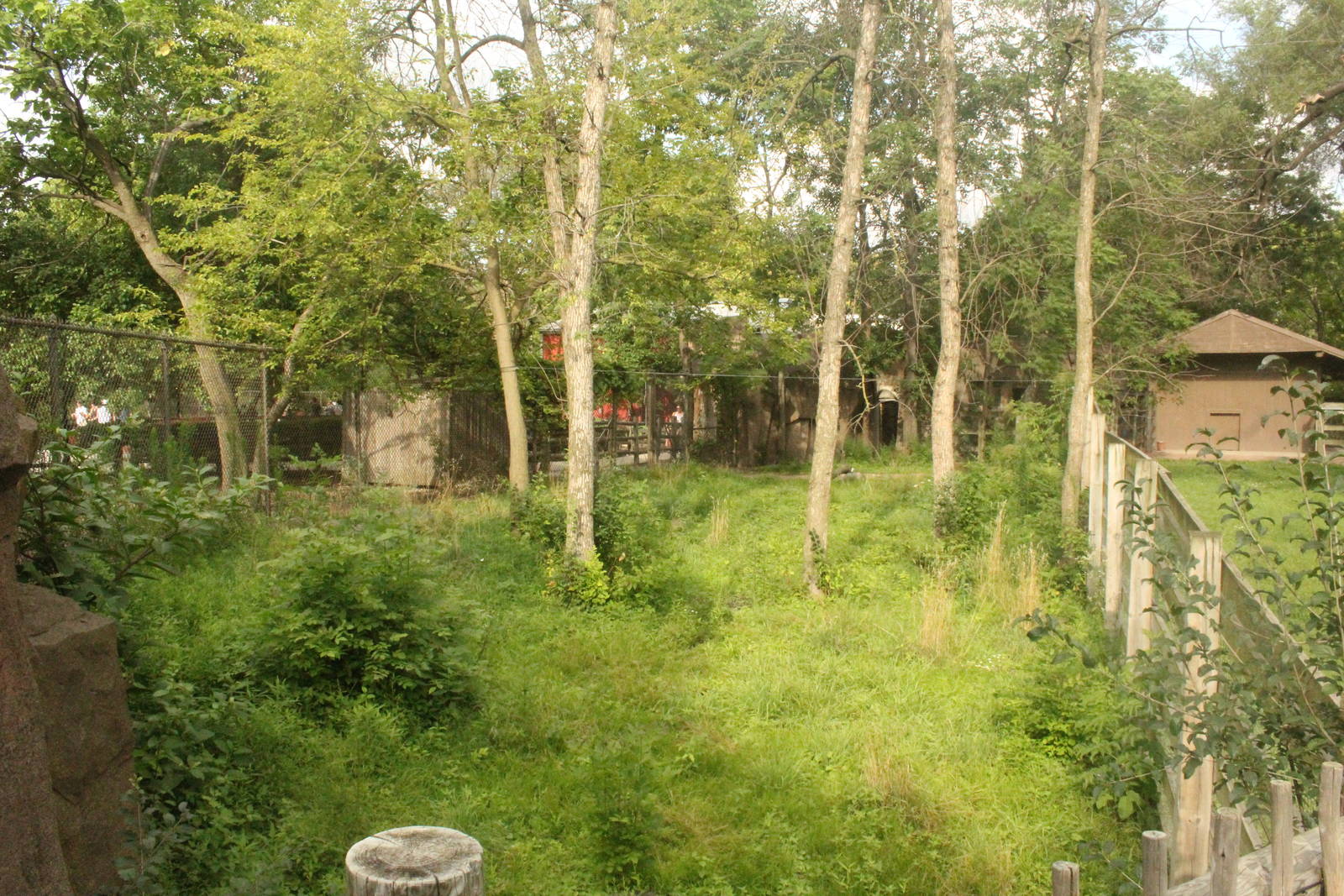 Jul. 2016 - Australia - Cape Barren Goose Exhibit