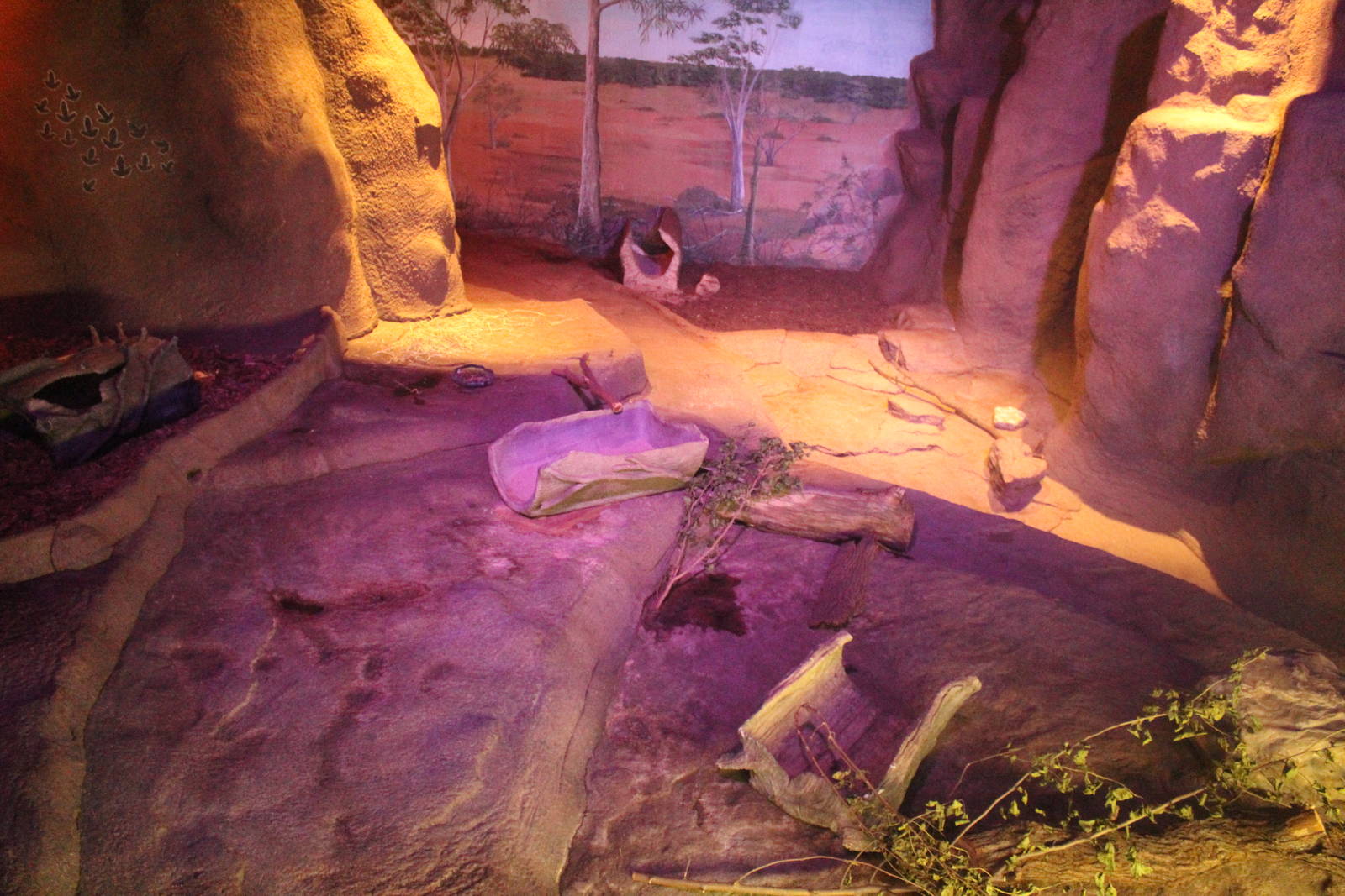 Jul. 2016 - Australia - Wombat Exhibit