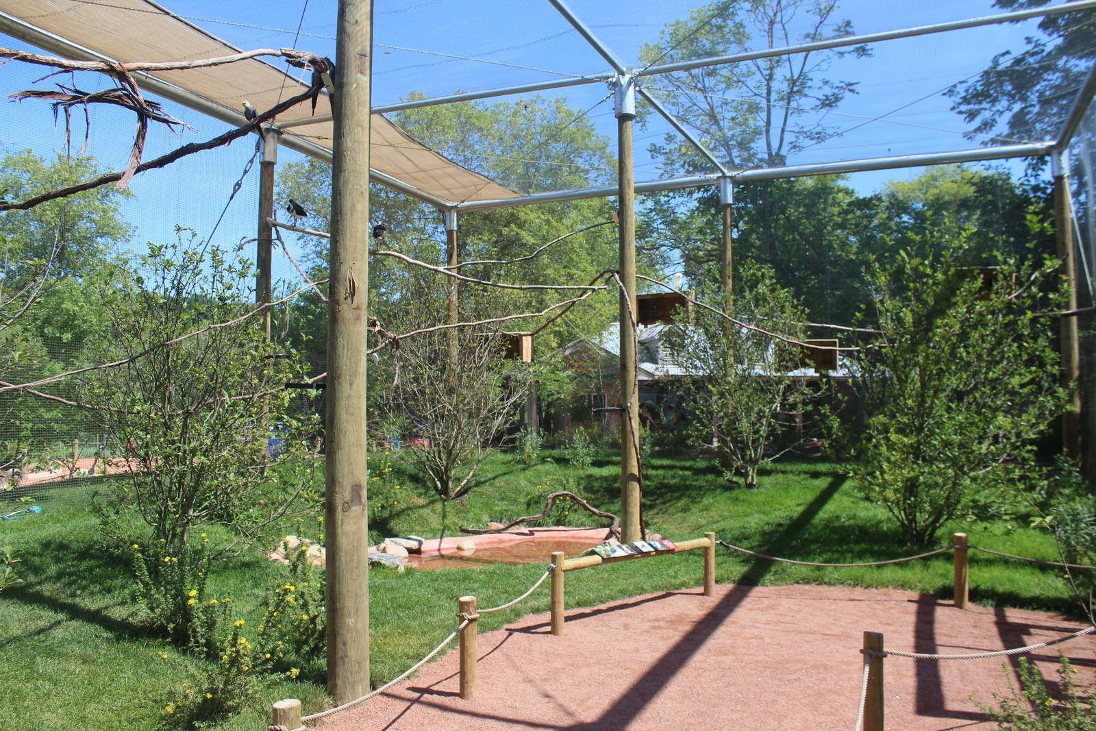 Jul. 2016 - Australian Adventure - Walk-through Aviary (