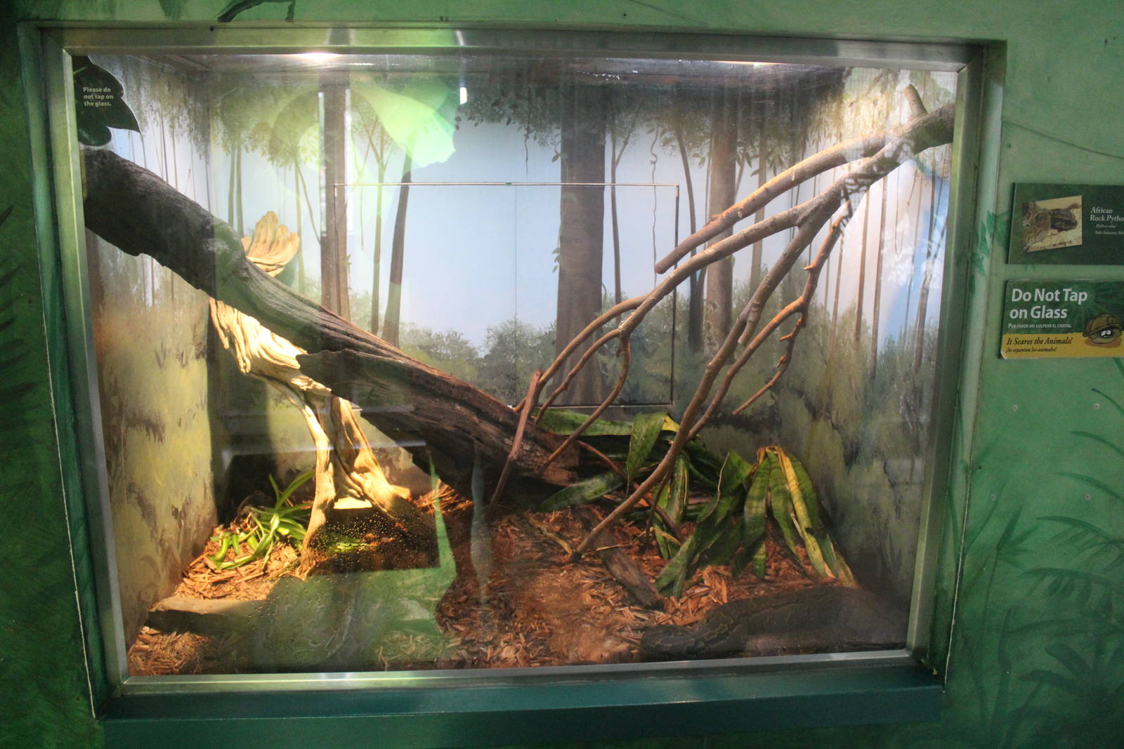 Jul. 2016 - Feathers and Scales - African Rock Python Exhibit