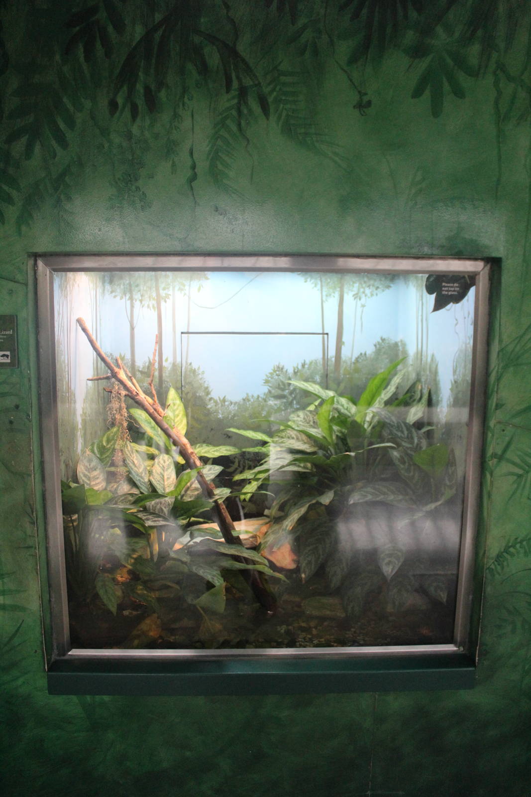 Jul. 2016 - Feathers and Scales - Chinese Crocodile Lizard Exhibit