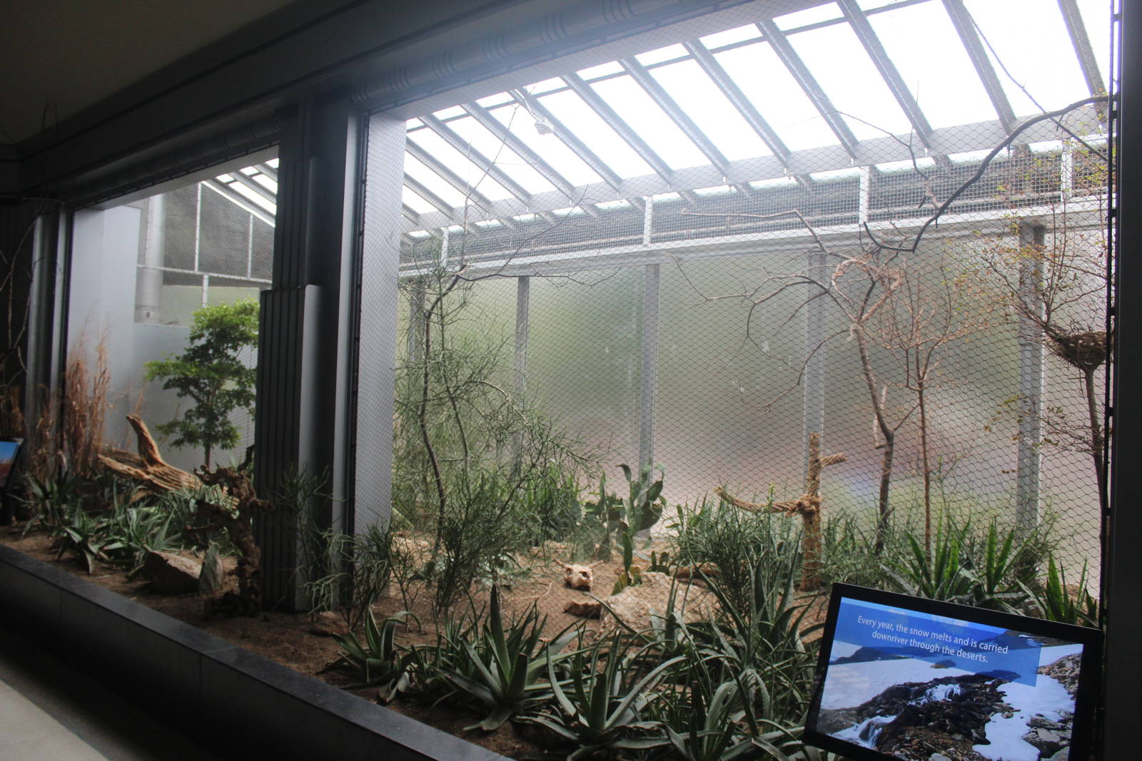 Jul. 2016 - Feathers and Scales - New Desert Exhibit (3 Species)