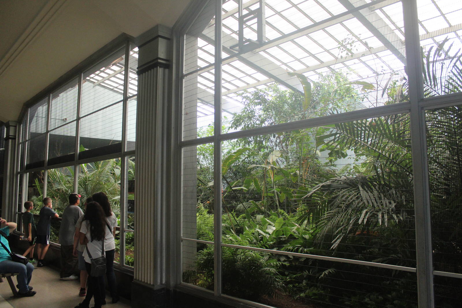 Jul. 2016 - Feathers and Scales - Newly Renovated Tropical Rainforest Exhib