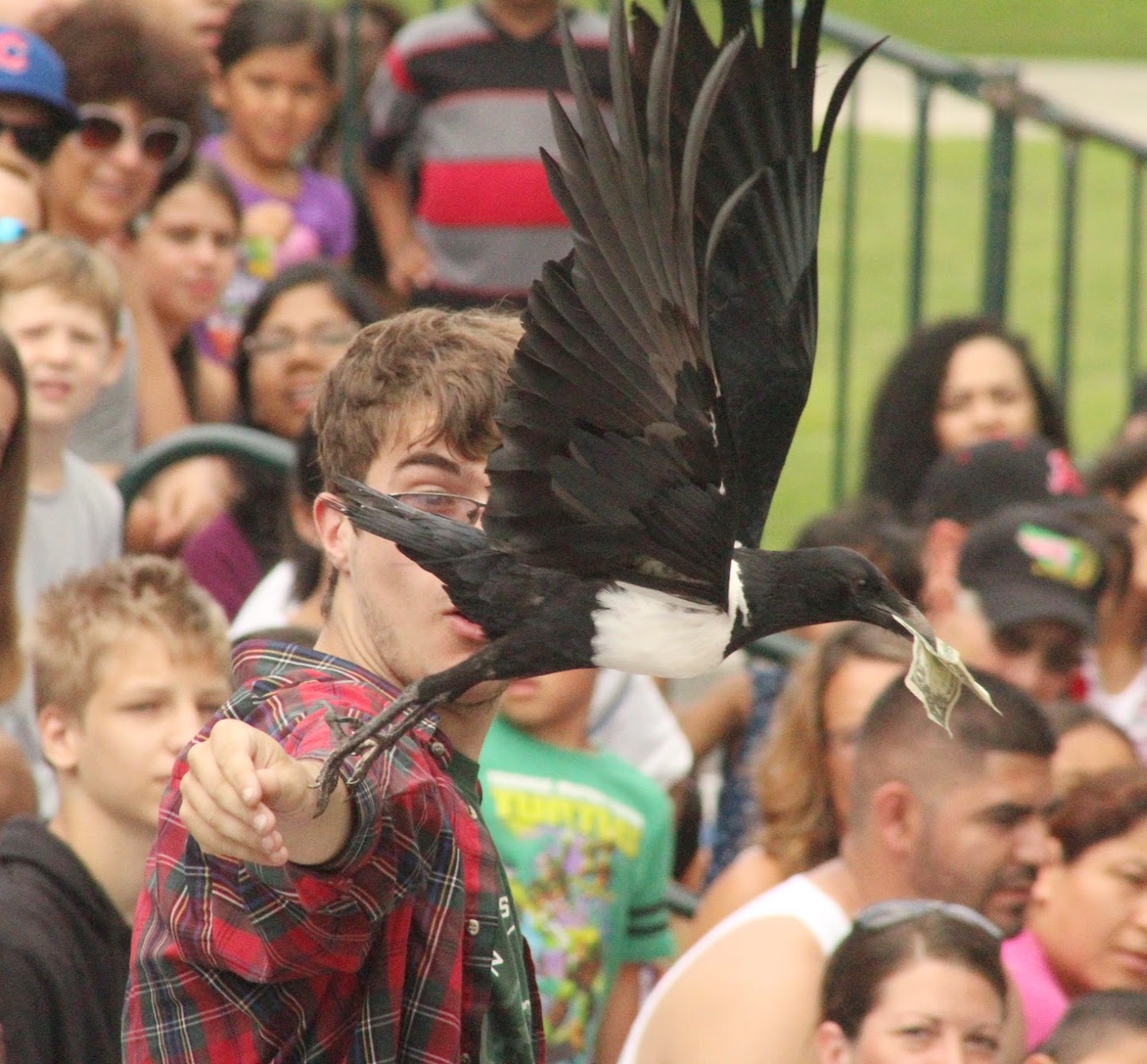 Jul. 2016 - Festival of Flight - I'll Take That