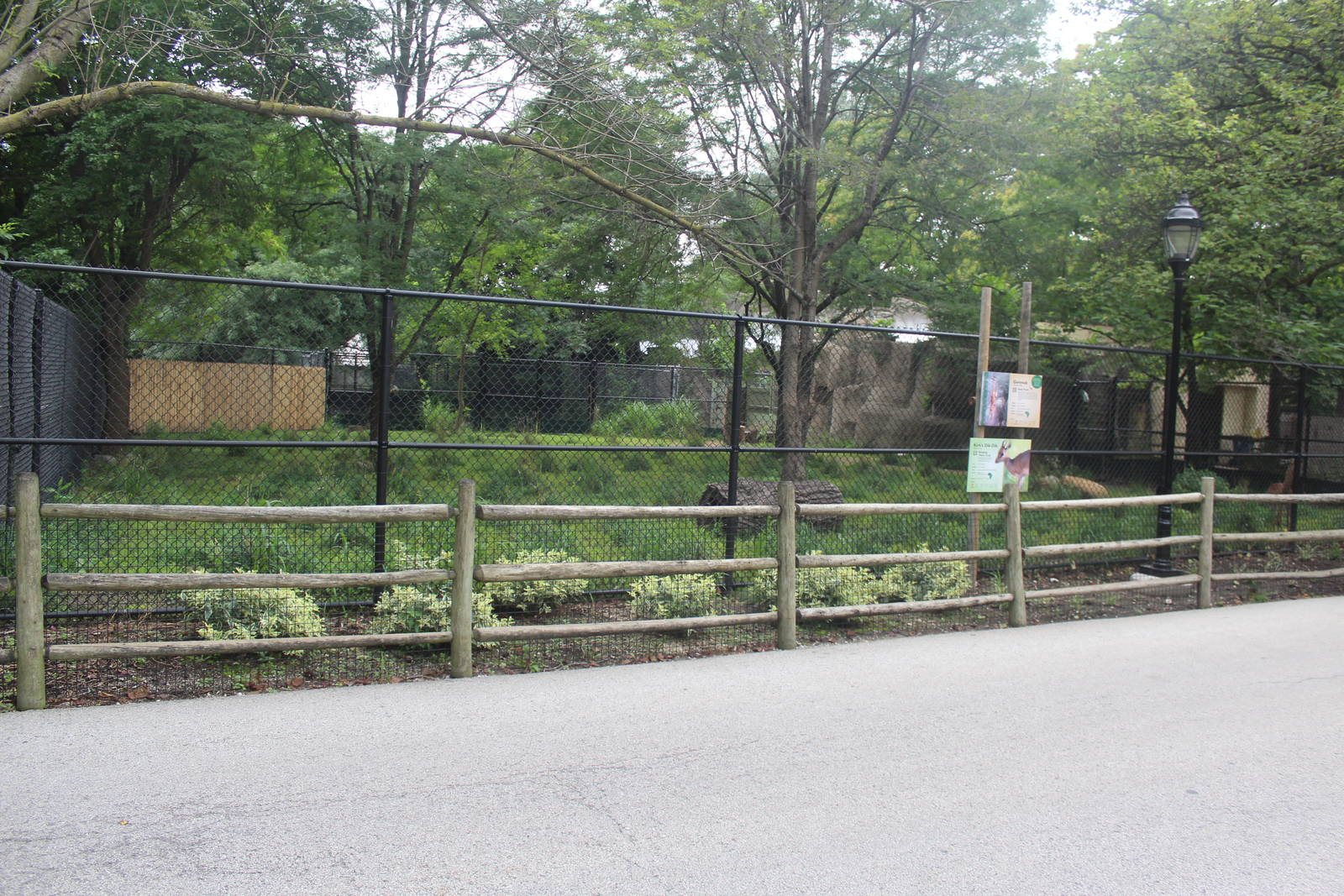 Jul. 2016 - Habitat Africa! The Savannah - Gerenuk + Kirk's Dik-Dik Exhibit