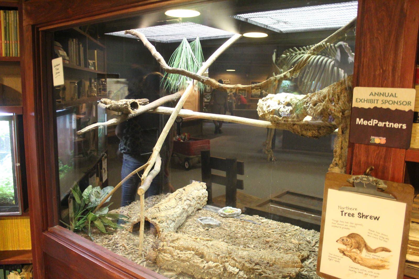 Jul. 2016 - Indonesian Rainforest - Northern Tree Shrew Exhibit