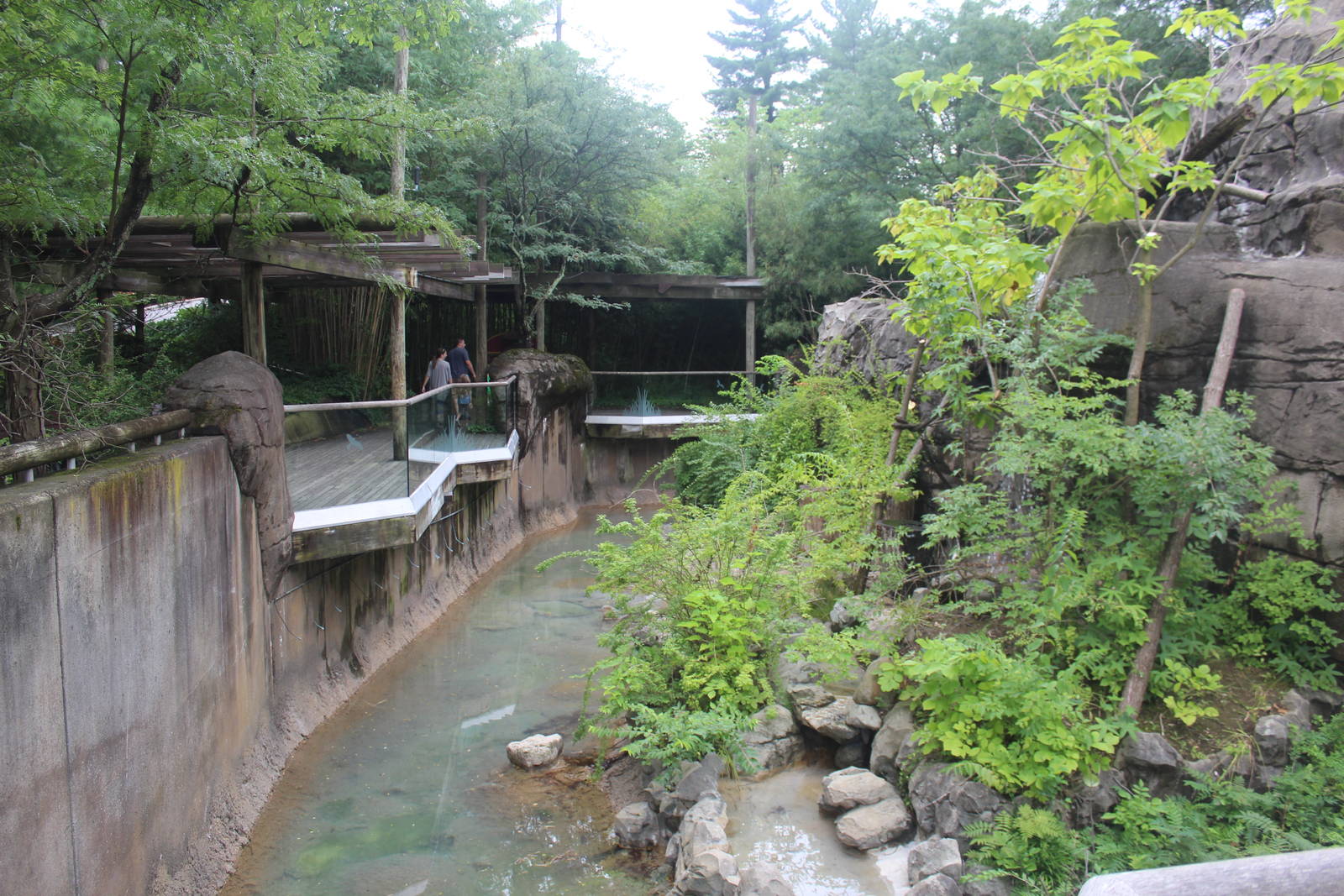 Jul. 2016 - Lemur Lookout