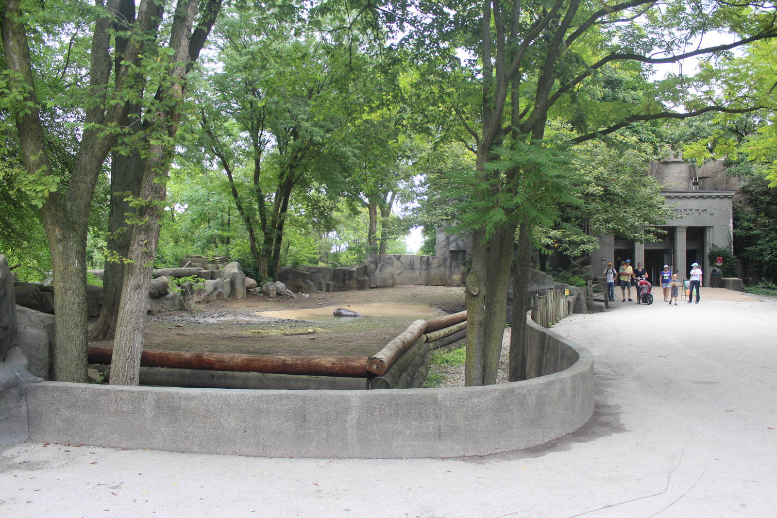 Jul. 2016 - Pachyderms - Second Pygmy Hippo Exhibit