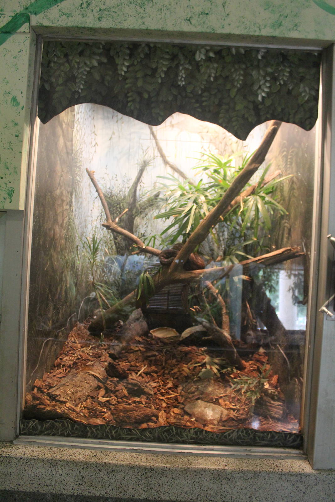 Jul. 2016 - Reptiles and Birds - Puerto Rican Boa Exhibit