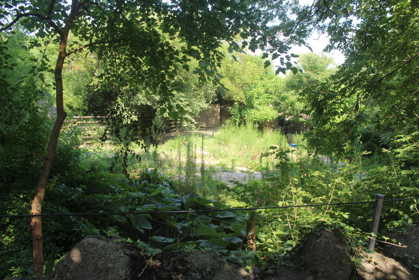 Jul. 2016 - Rhino Reserve - Grey Crowned Crane Exhibit (Former Zebra Exhibi
