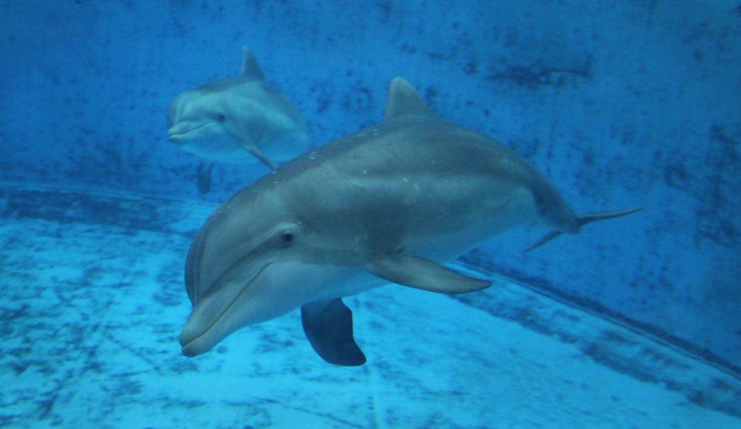 Jul. 2016 - Seven Seas - Maxine and Allie