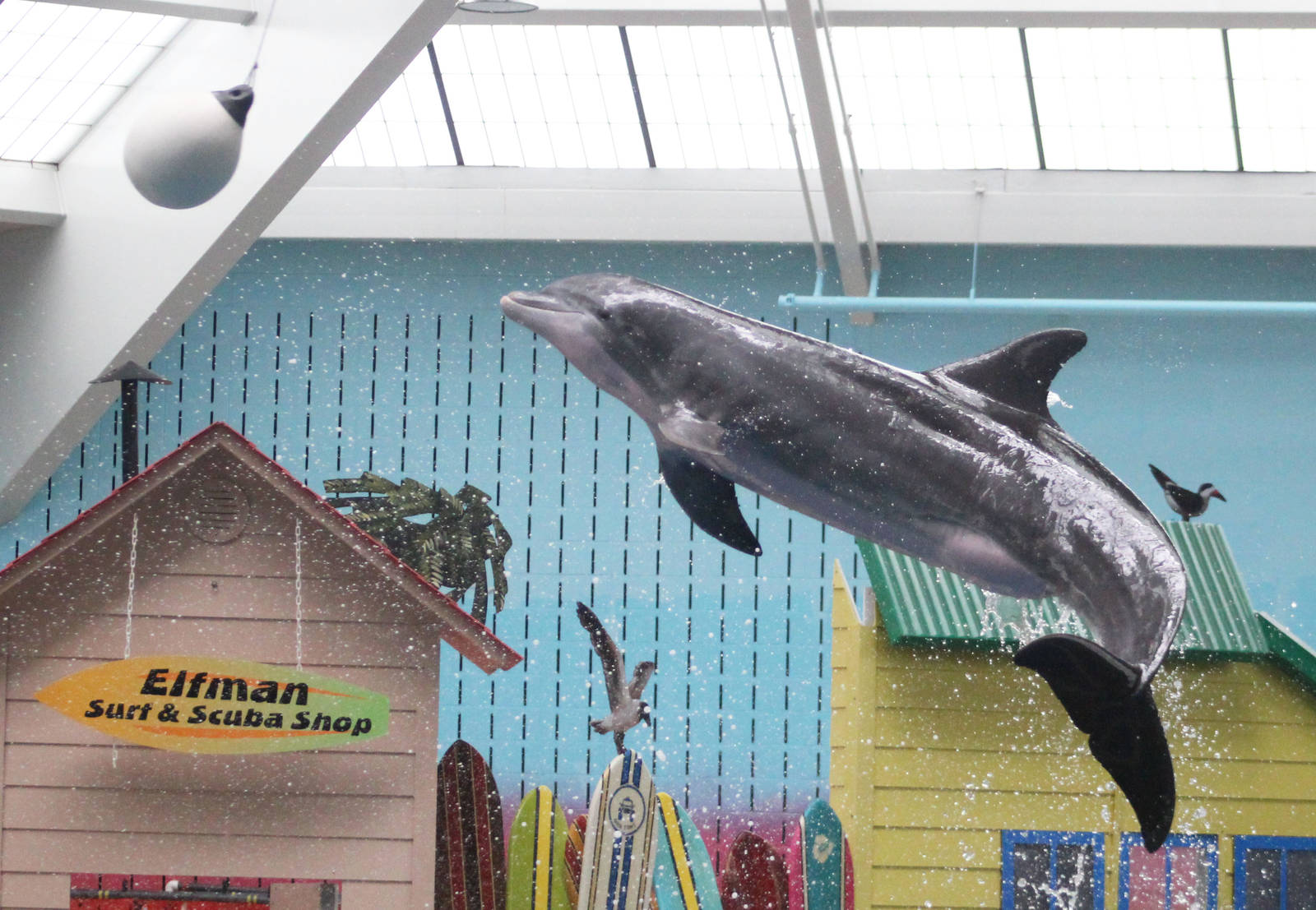 Jul. 2016 - Seven Seas