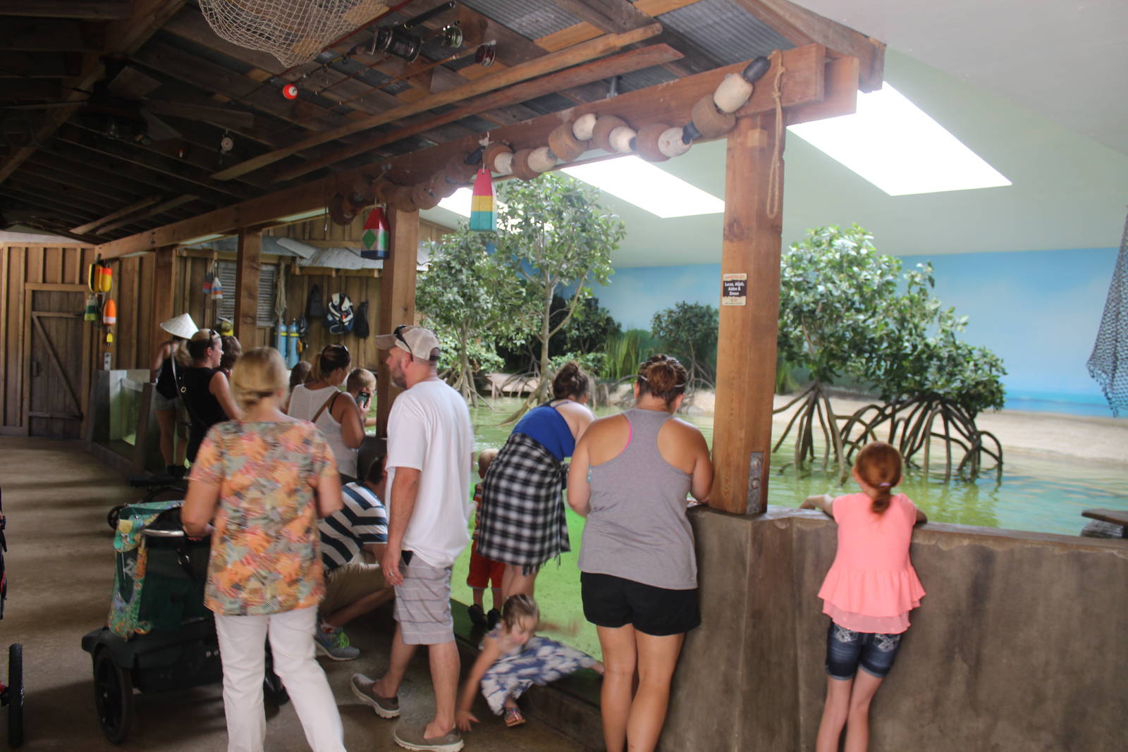 Jul. 2016 - Stingray Bay (New)