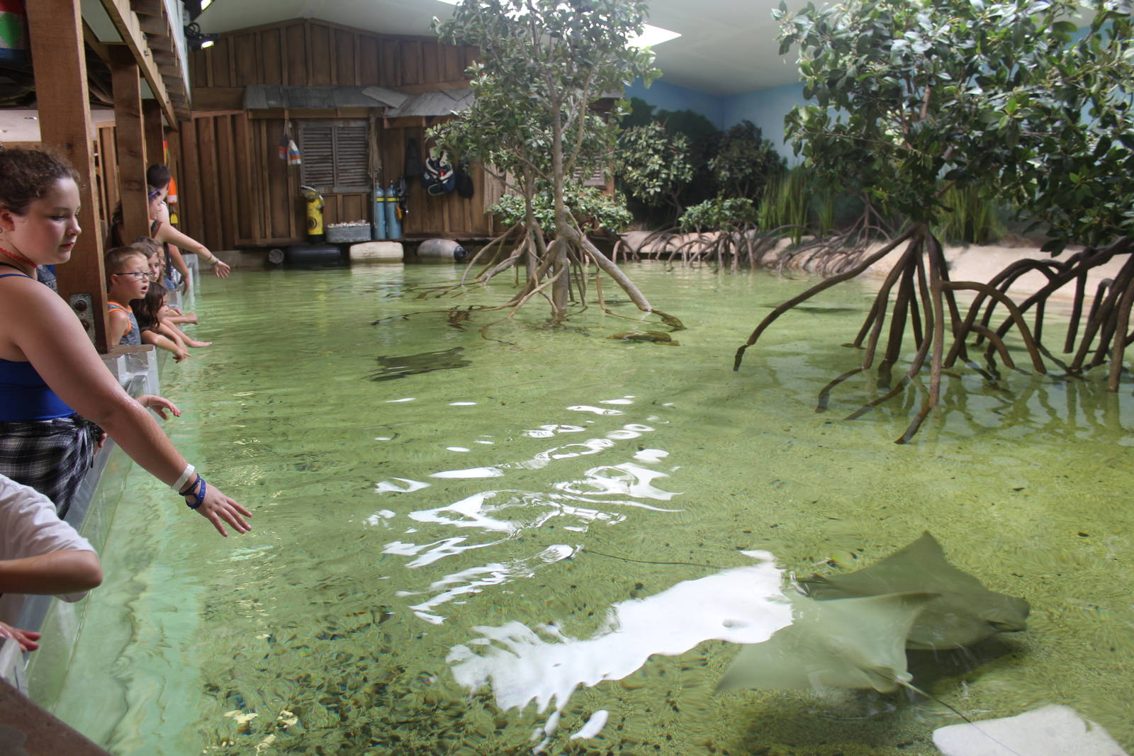 Jul. 2016 - Stingray Bay (New)