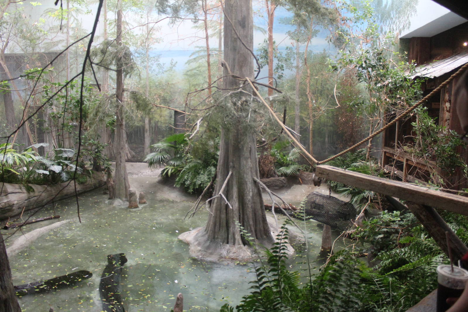 Jul. 2016 - The Swamp - Third Aviary (6 Species)