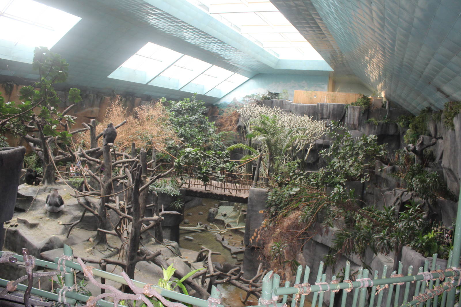 Jul. 2016 - Tropic World - Africa (8 Species)