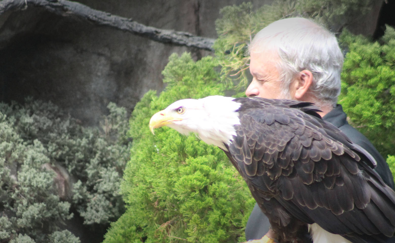 Jul. 2016 - Wings of the Wonder - Gary and Sam