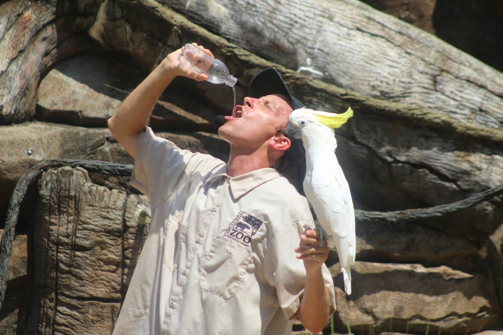 Jul. 2016 - Wings of Wonder - Bob and Sydney