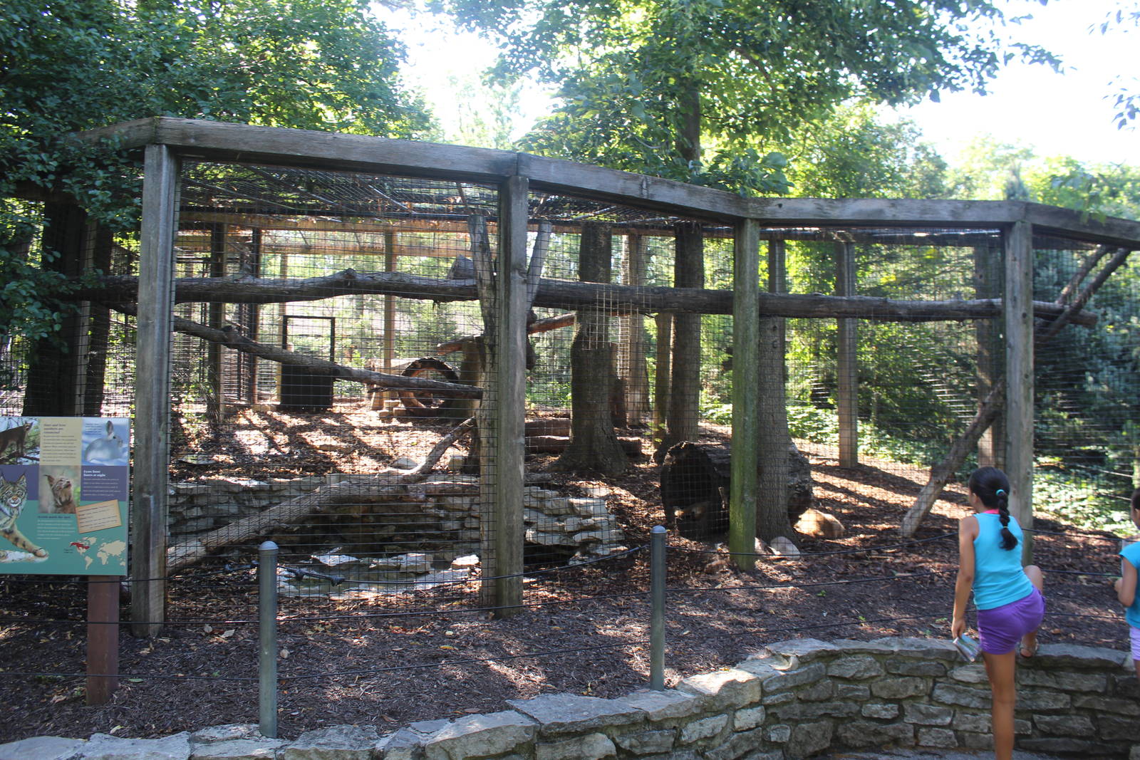 Jul. 2016 - Zoo Central - Canada Lynx Exhibit