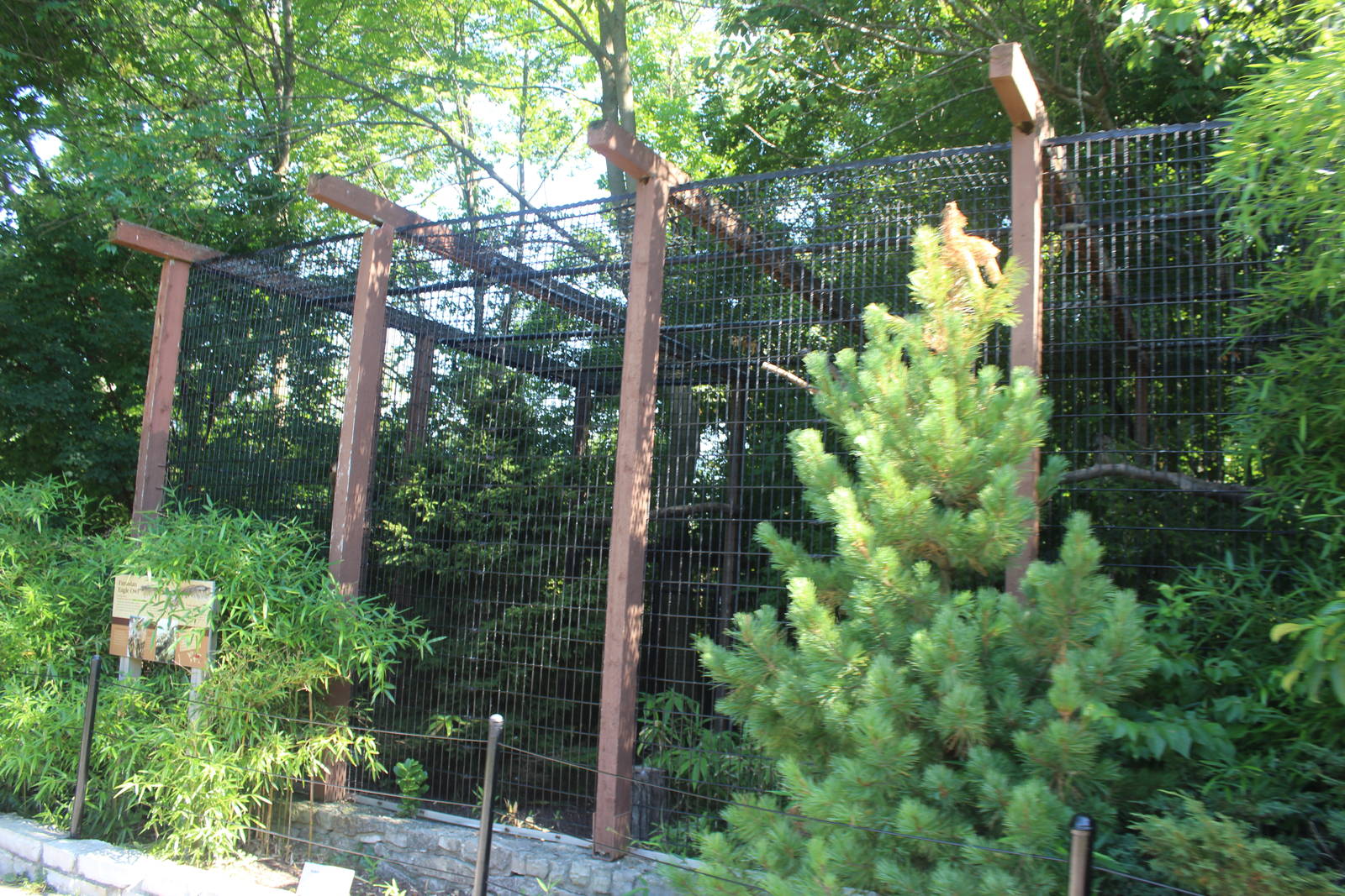 Jul. 2016 - Zoo Central - Eurasian Eagle Owl Exhibit