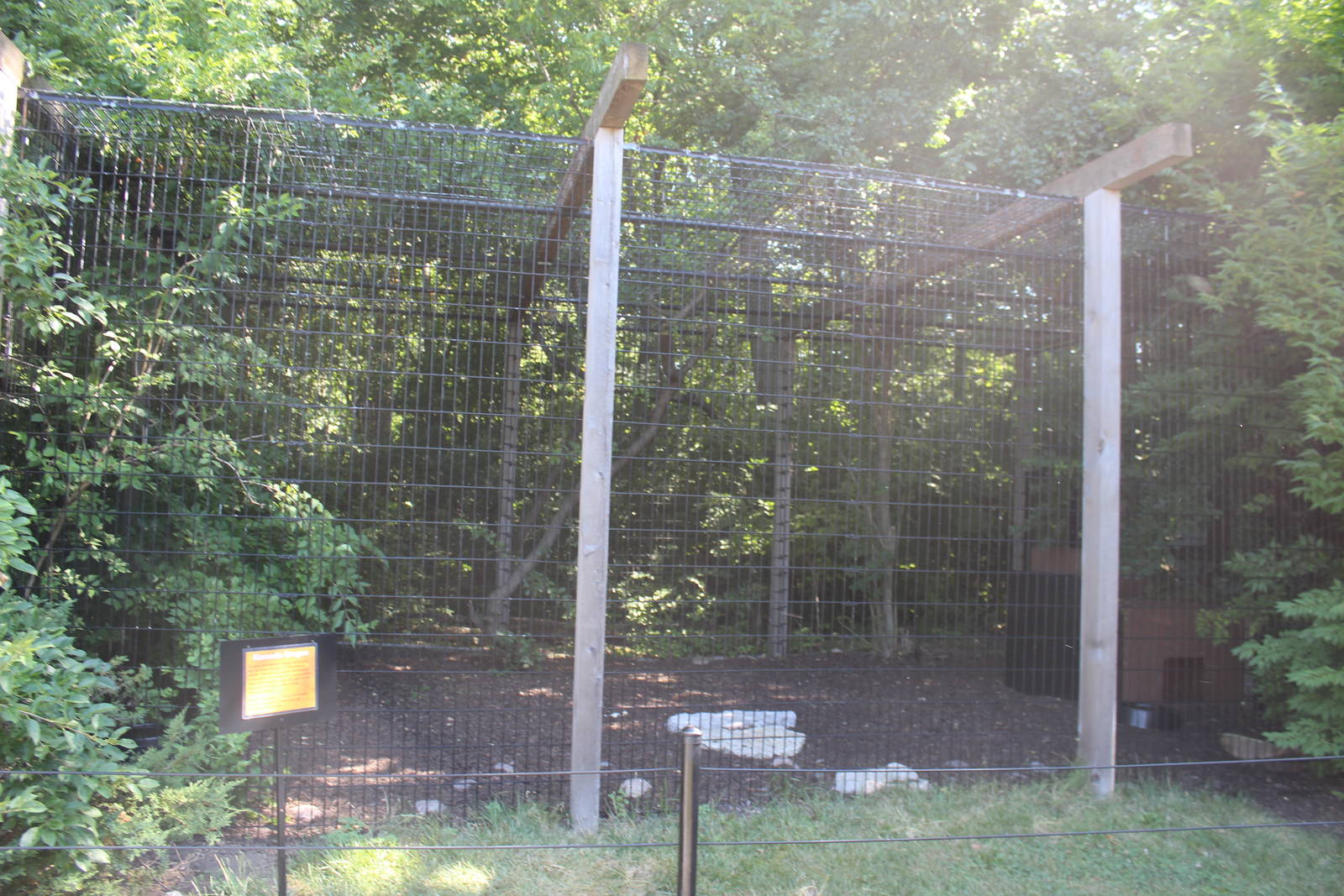 Jul. 2016 - Zoo Central - Komodo Dragon Summer Exhibit