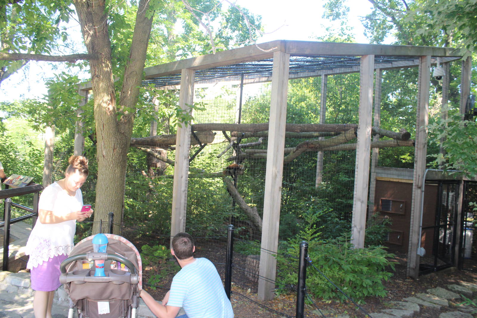 Jul. 2016 - Zoo Central - Red Panda Exhibit