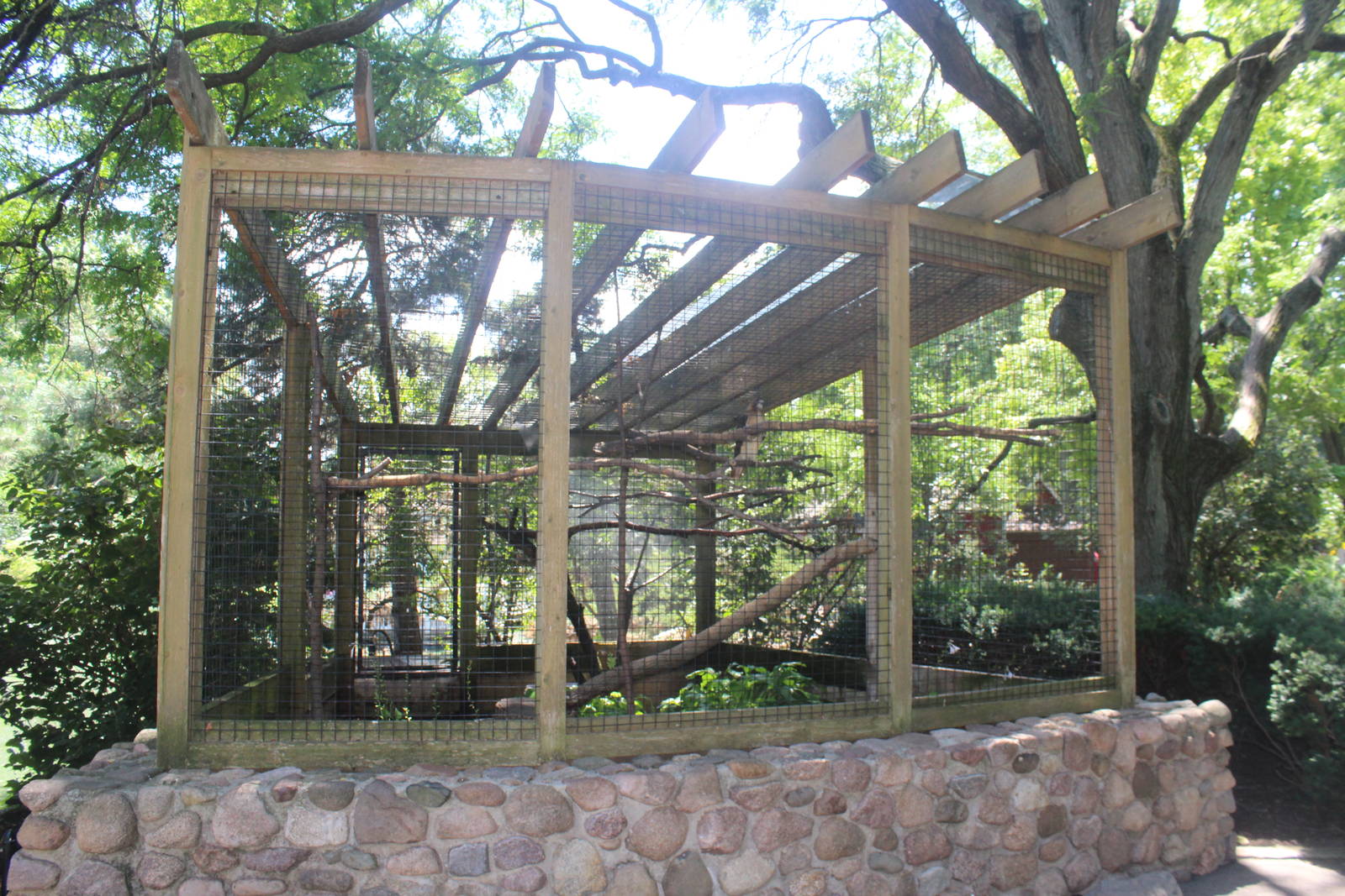 Jul. 2016 - Zoo Central - Red-tailed Hawk Exhibit