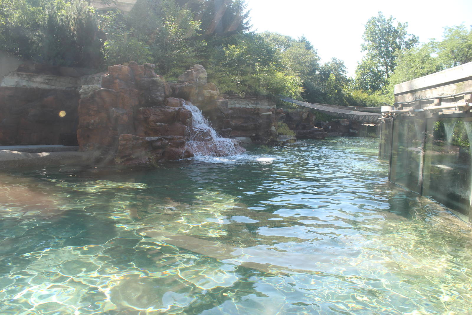 Jul. 2016 - Zoo Central - Sea Lion Exhibit (Left Viewing)