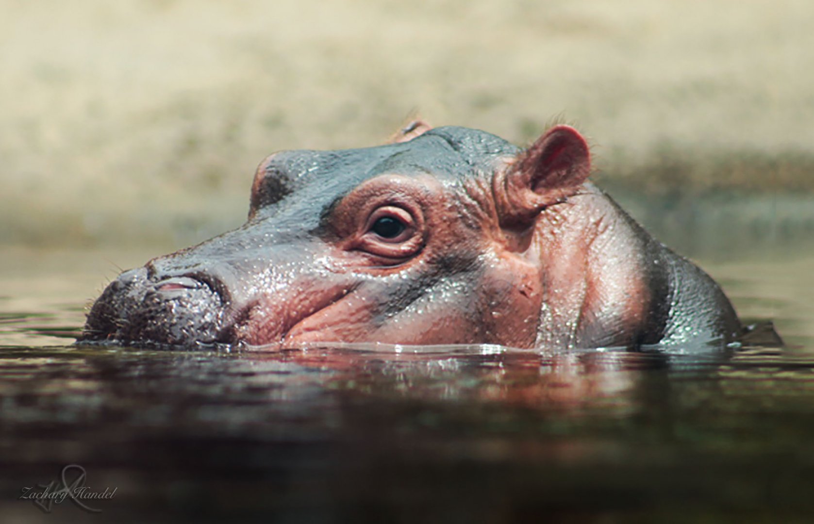 Jul. 2017 - Africa - Fiona